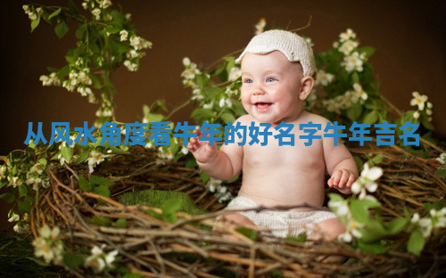 从风水角度看牛年的好名字_牛年吉名
