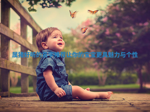 属猪好听的名字推荐让你的宝宝更具魅力与个性