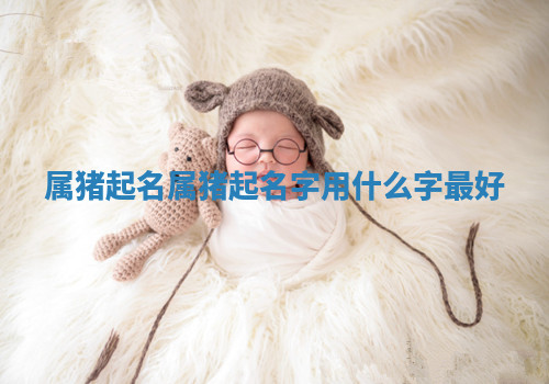 属猪起名_属猪起名字用什么字最好