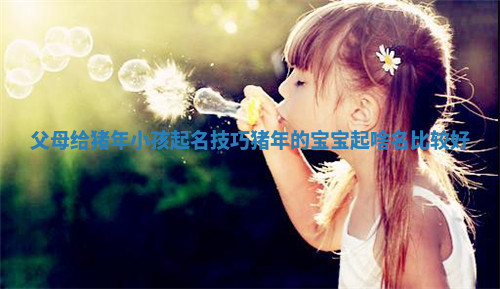 父母给猪年小孩起名技巧_猪年的宝宝起啥名比较好