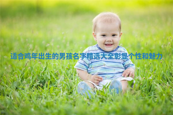 适合鸡年出生的男孩名字精选大全彰显个性和魅力